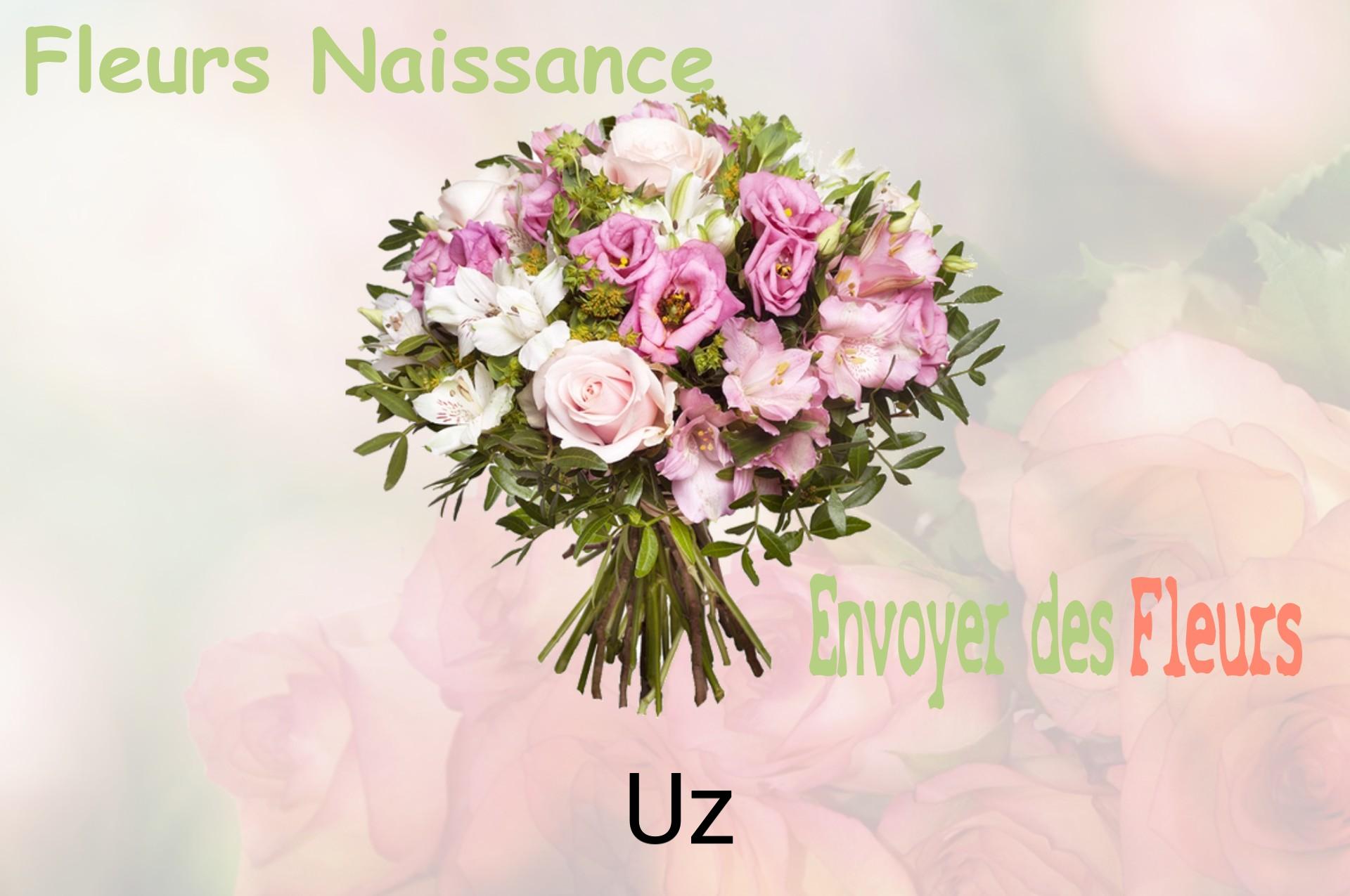Bouquet de fleurs de naissance livré à Uz