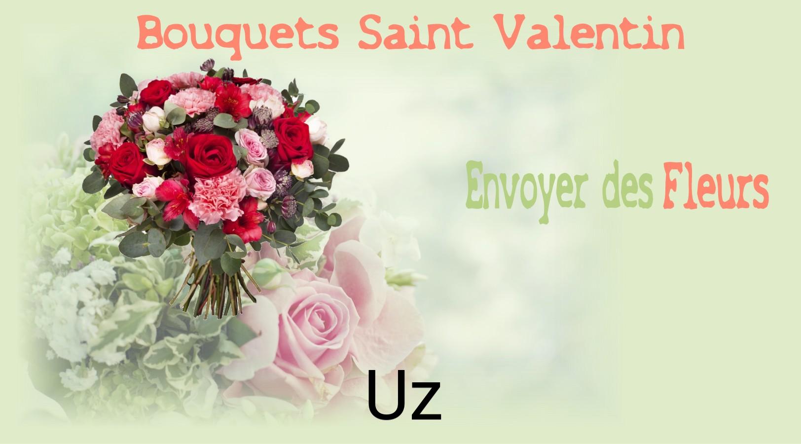 Roses de Saint-Valentin livrées à Uz