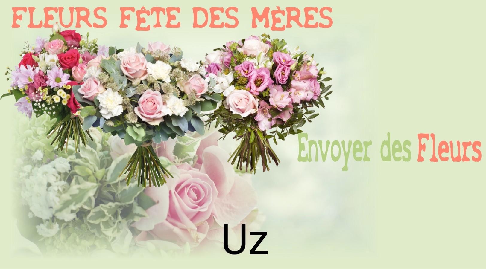 Bouquet de Fête des Mères livré à Uz